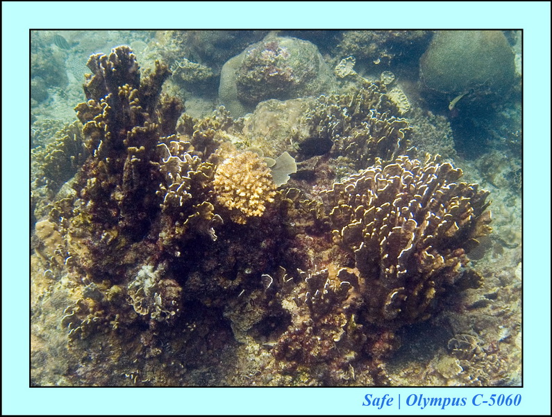 2006 - 07 - Kapas - Plongee N1 - 01